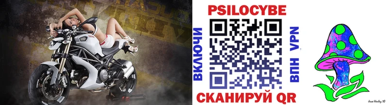 Галлюциногенные грибы Psilocybine cubensis Заполярный