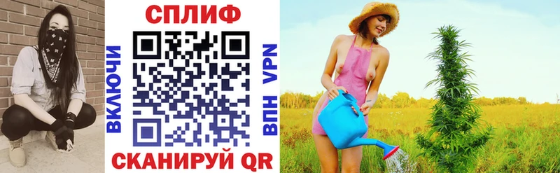 где найти наркотики  Заполярный  Бошки Шишки гибрид 